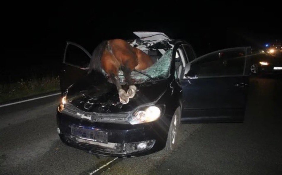 𝗙𝗔🅱️𝗜𝗢ᴺᴹ tweet media