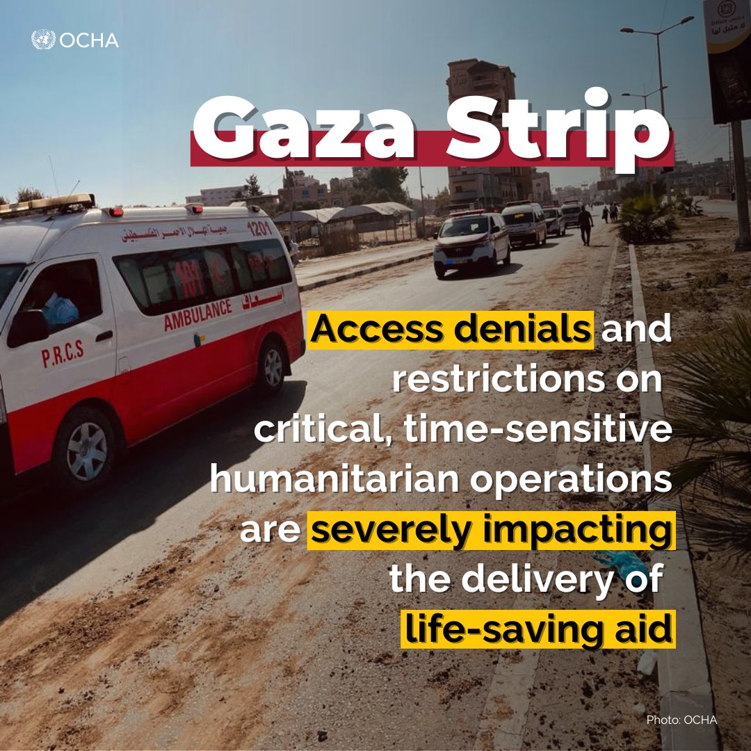 United Nations tweet media