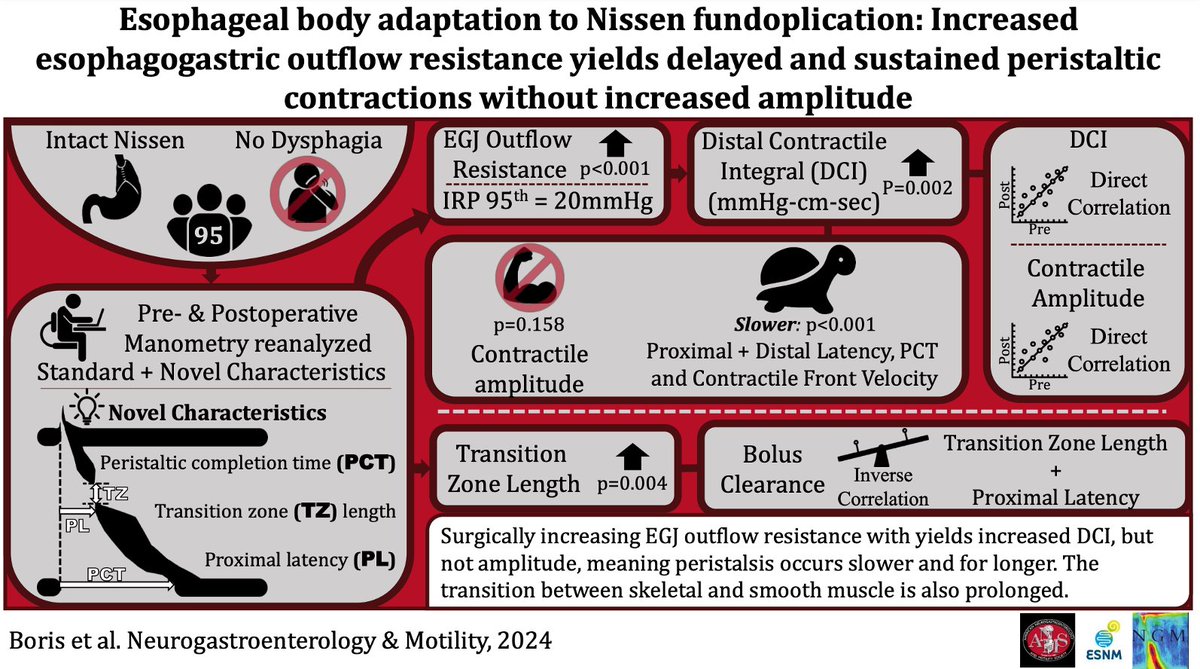 Check out our new paper from @AHNSurgeryInst and @AHNtoday in @NGMJournal on “Esophageal body adaptation to Nissen fundoplication” Full text open access 🔓: onlinelibrary.wiley.com/doi/full/10.11… @SAGES_Updates @MISIRG1 @SSATNews @ANMSociety @esnm_eu @neurogastromot1 @ASENEM_ @my_ueg…