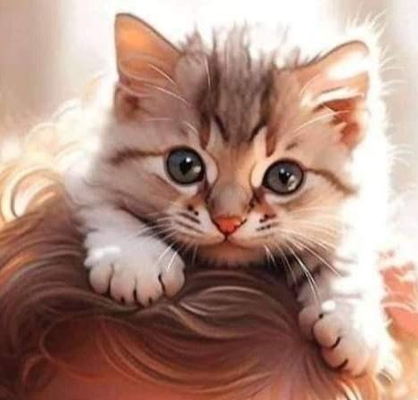 CorellaTej7982's tweet photo. #buenastardes #feliztarde #tardegatitos #ilustration #kitten #art #pets #cute #cutepets #sweetpets #GoodEvening #finearts #mascotas #animallover https://t.co/x53NmQJQpx