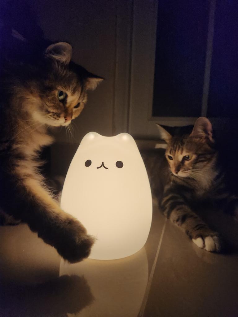 Girl's night! Pondering the orb.