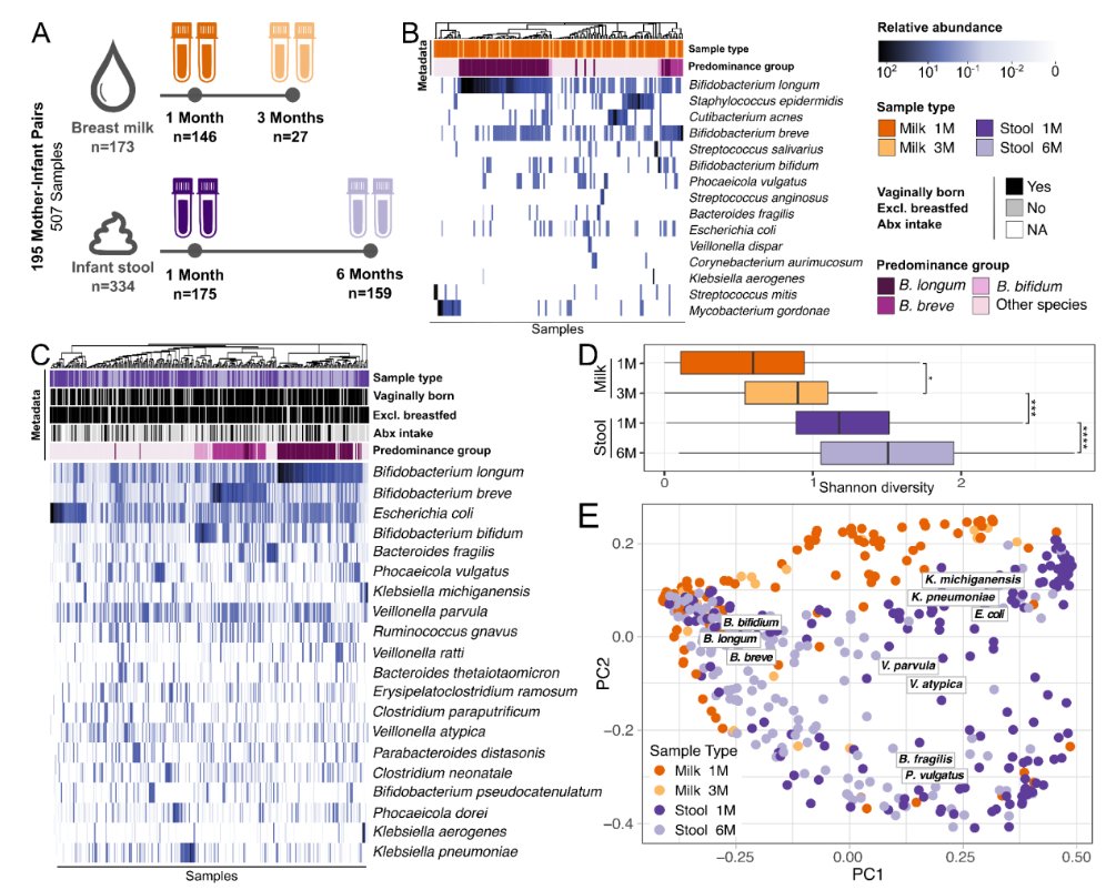 Mother's milk is often the sole source of nutrition for the baby. Milk also contains diverse bacterial communities -- but how to these bacteria impact the infant gut microbiome?

Our latest: biorxiv.org/content/10.110…