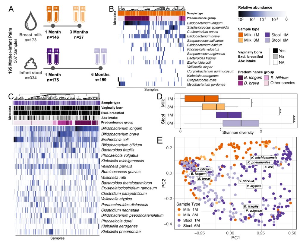 Mother's milk is often the sole source of nutrition for the baby. Milk also contains diverse bacterial communities -- but how to these bacteria impact the infant gut microbiome? Our latest: biorxiv.org/content/10.110…