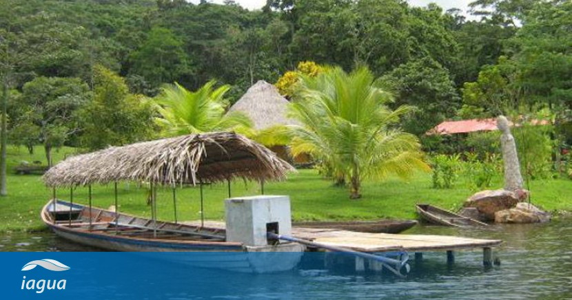 Necesitamos vitamina N dlvr.it/T22HYG