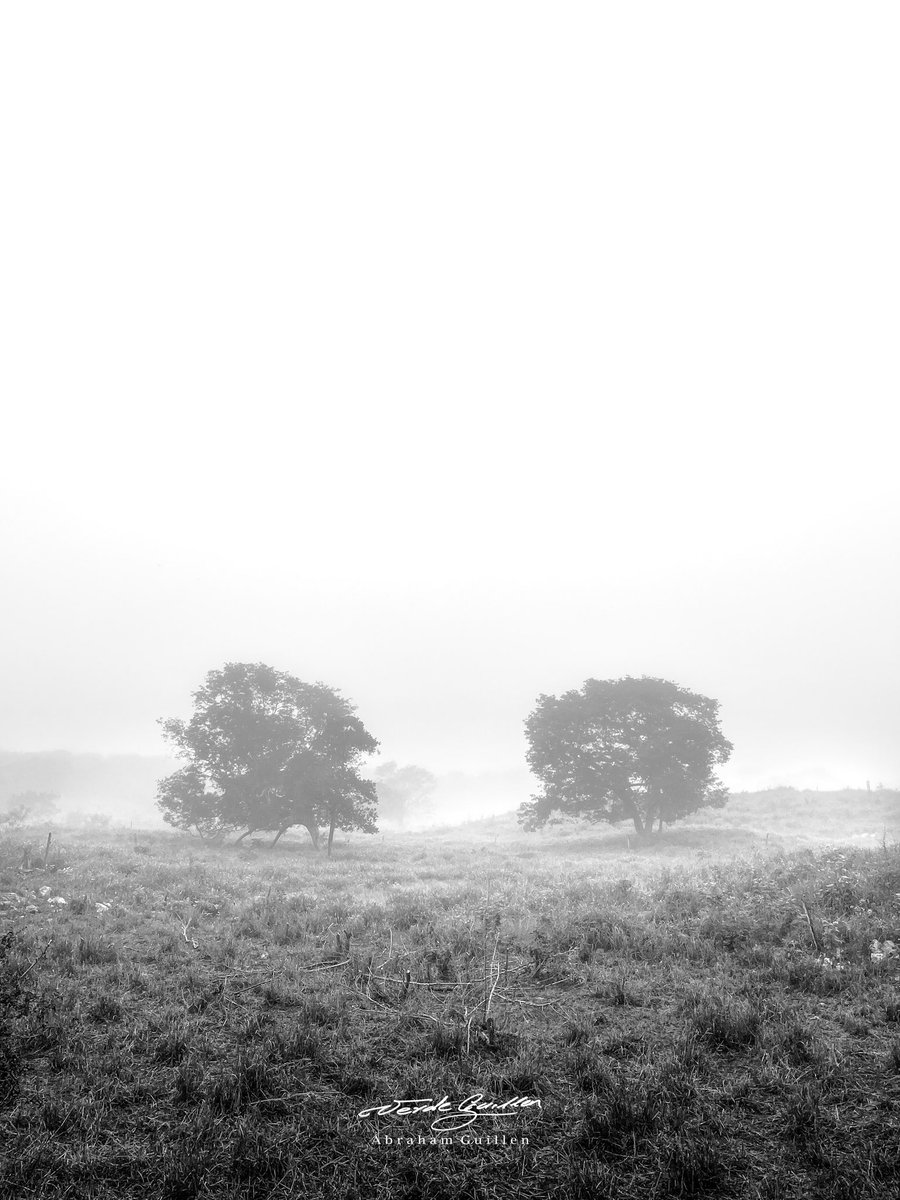 verdeguillen's tweet image. El clima húmedo y frío de Yucatán ☃️❄️☁️

#climafrio #climayucatan #yucatan