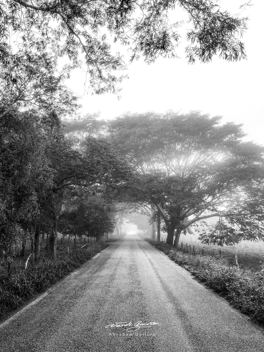 verdeguillen's tweet image. El clima húmedo y frío de Yucatán ☃️❄️☁️

#climafrio #climayucatan #yucatan