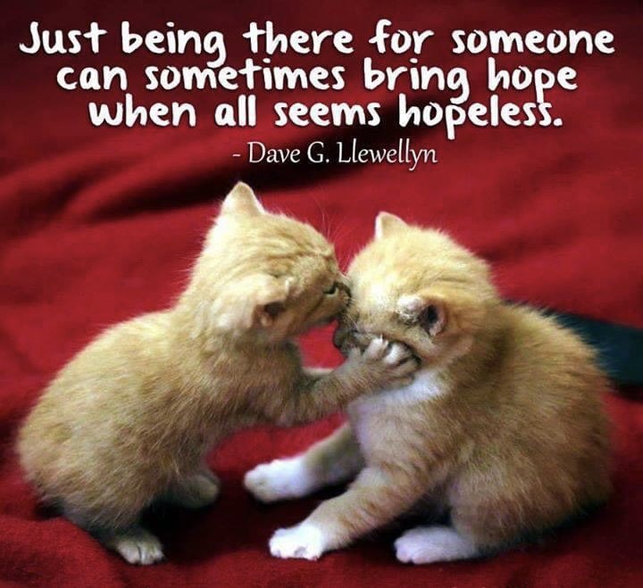 Lesa87593067's tweet photo. Good Morning All‼️ #BuddyChecksReallyDoMatter🙏 #VLM
Please reach out if you’re struggling🙏You’re♥️You Matter🫂
We can do this together👊#EndVeteranSuicide #22UntilNone https://t.co/jQehPSNmw9