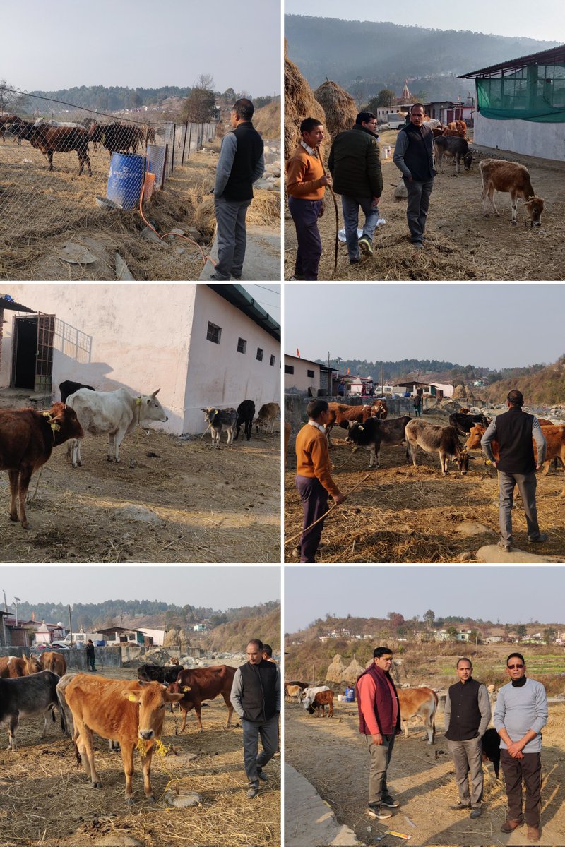Deputy CVO Bageshwar tweet media