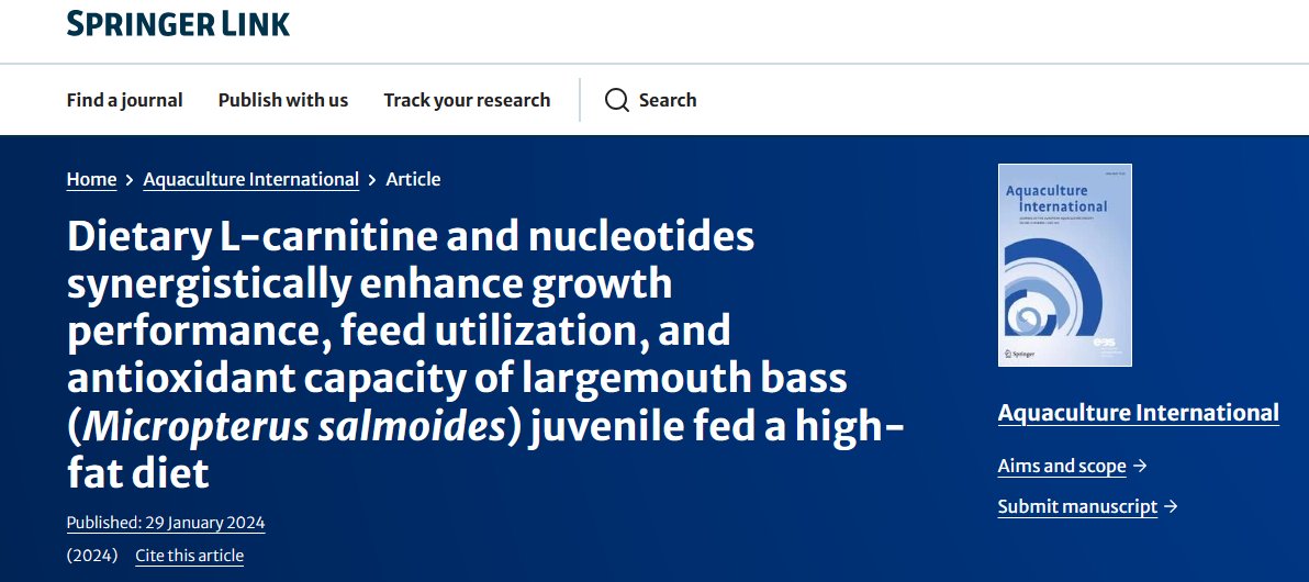 Mchele Limbu tweet media