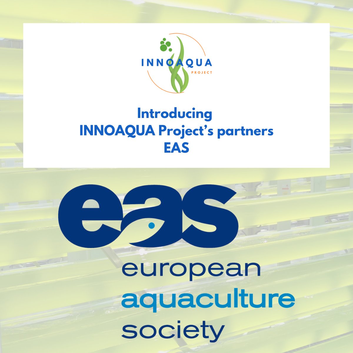 Innoaqua Project tweet media