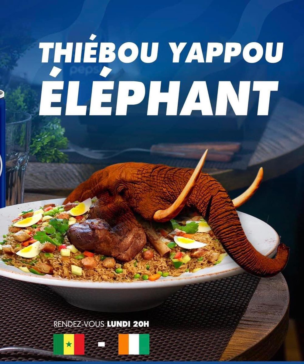 MoinsalimaH's tweet photo. Plat du jour « Tchebou  Yappou Éléphant » 🤤 #CAN2023  #Senegal #CotedIvoire https://t.co/JIwSCEuegu