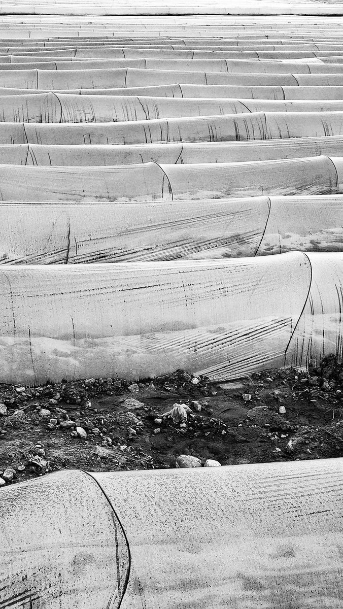 🔥NEW DROP🔥
Gm friends "my lines II" is here🌟
_--------_---------_---------_---------_
🔸1/1 ed
🔸4.99 xtz 
Link 🔻
objkt.com/tokens/KT1F3zg…
______________________________________
#NFTCommunity #NFTartist  #newdrop #NFTdrop #NFTshill #blackandwhitephoto