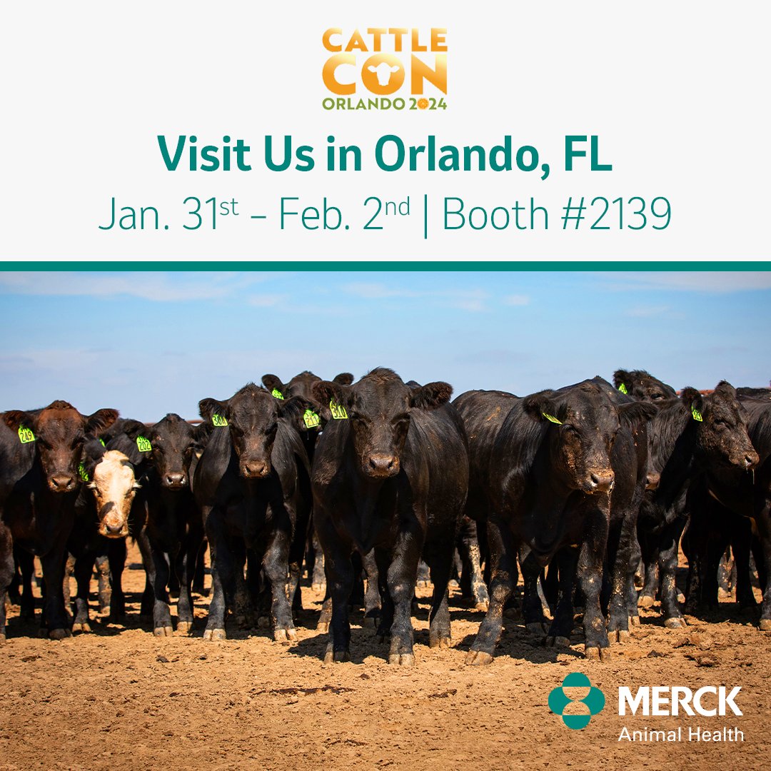 As proud partners of @BeefUSA, we look forward to connecting with you at #CattleCon24 in Orlando, Florida. Be sure to visit us this week in the Exhibit Hall at booth #2139 to learn about our latest innovations. #CattleHealth