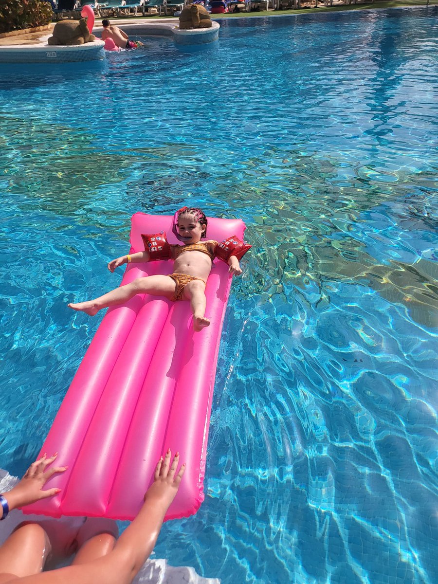 Gemma Hamilton tweet media