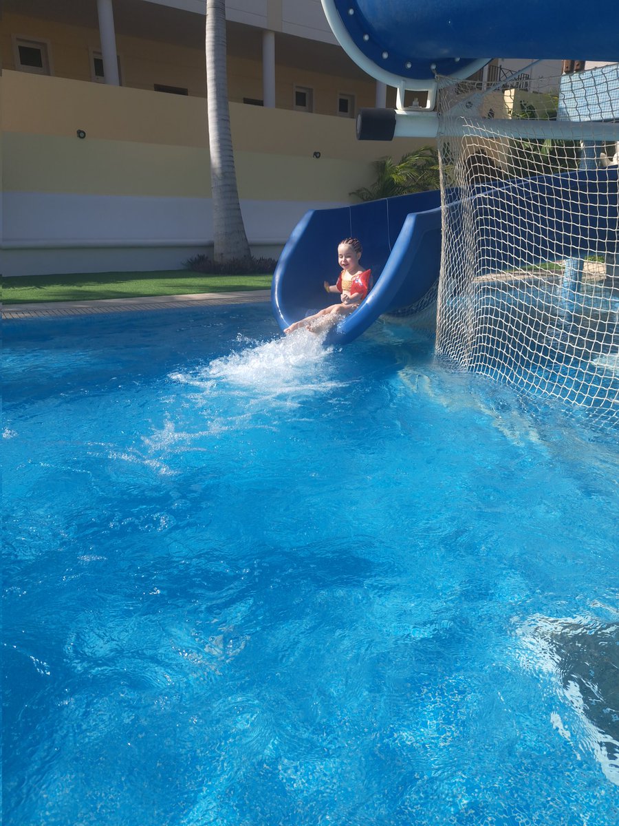 Gemma Hamilton tweet media