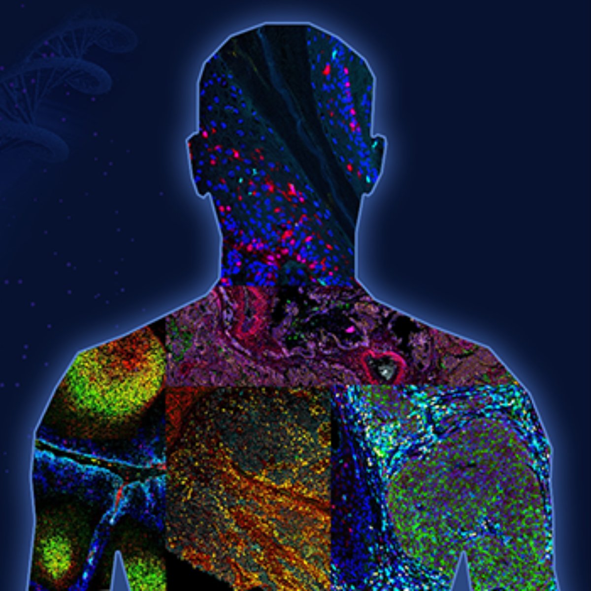 AkoyaBio's tweet photo. 🎉 We are proud to see our #PhenoCyclerFusion is on the list of top technologies to watch in 2024, recognized by @Nature. We are thrilled to be at the forefront of this #AI-driven revolution. https://t.co/szfZ3WTuTu
#spatialomics #spatialbiology #cellatlas @humancellatlas https://t.co/ONjNZBL0aC