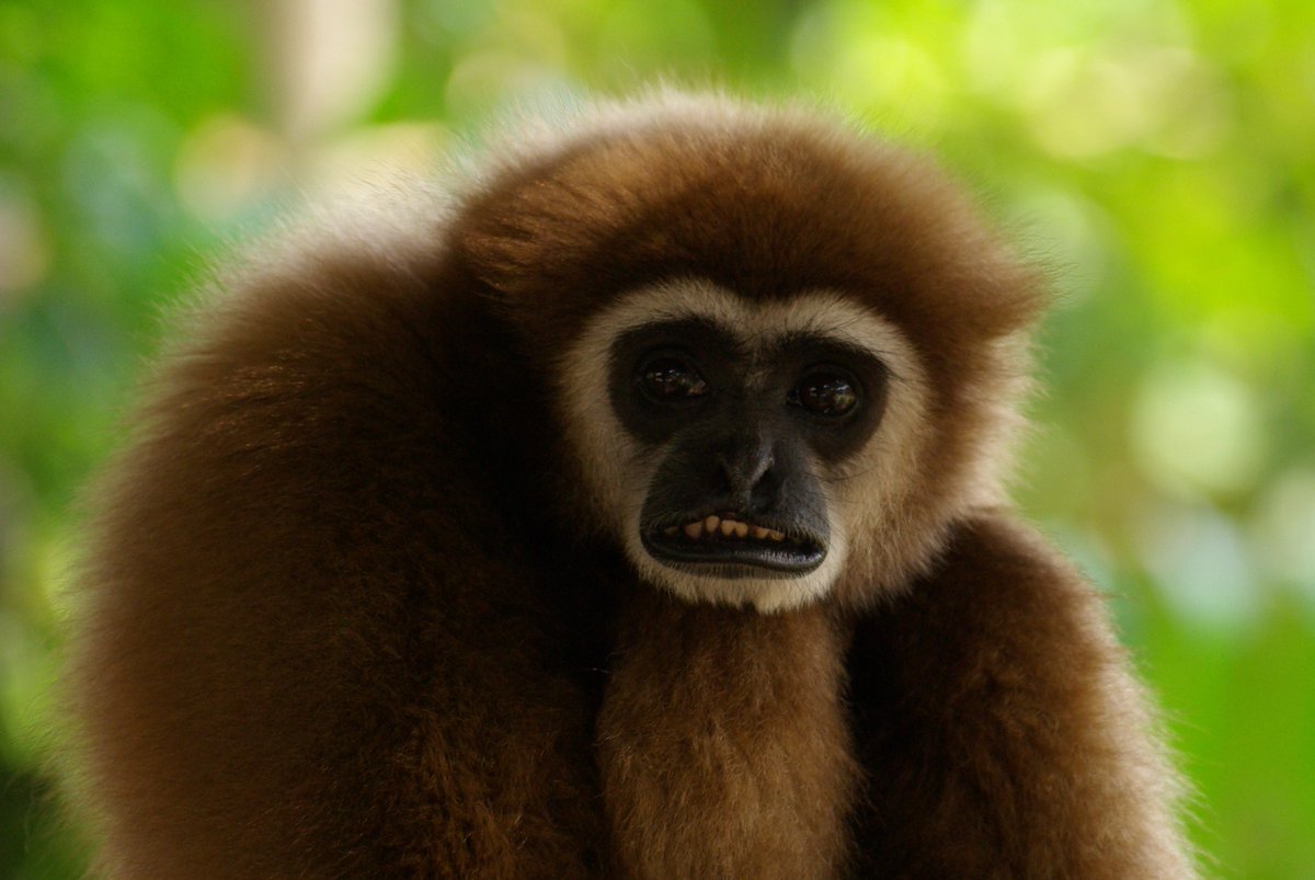 How your email finds me: