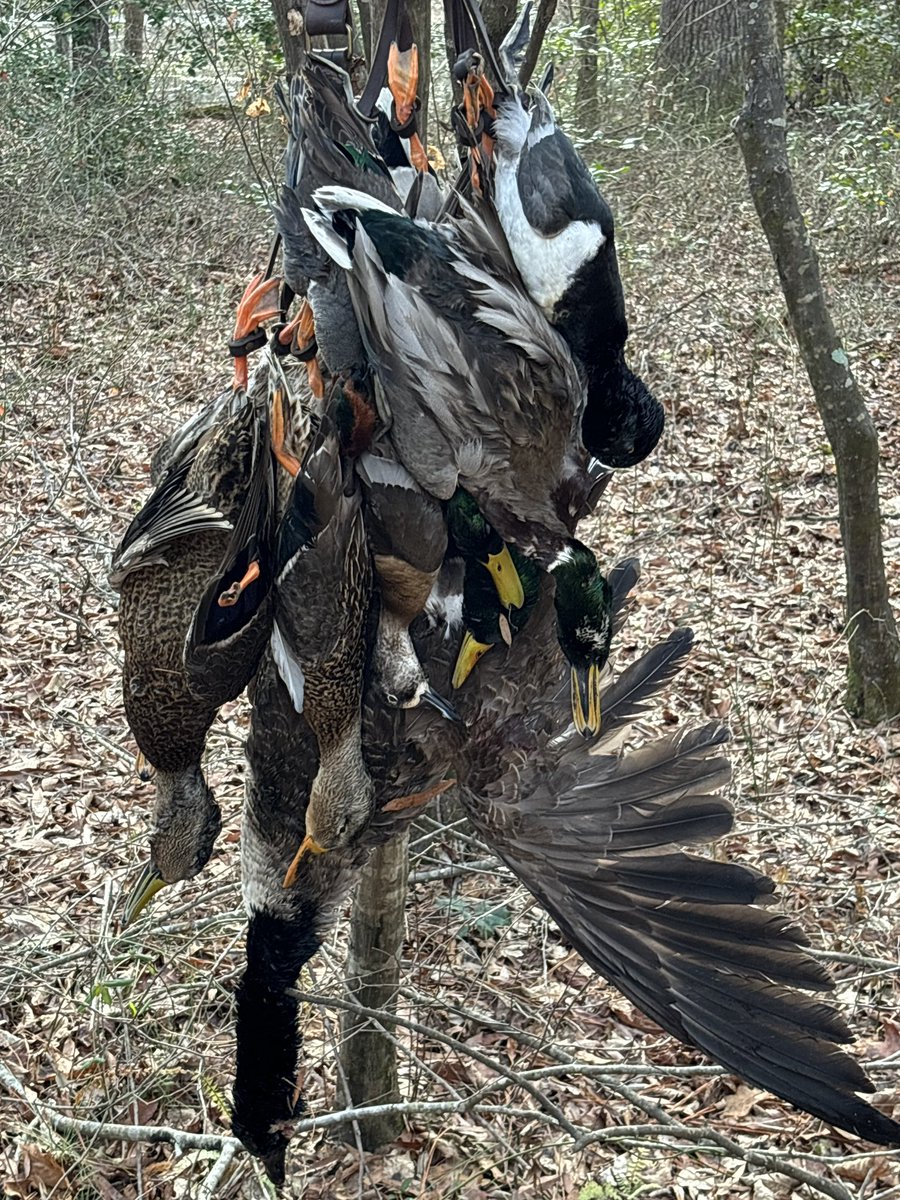 GrilesEthan's tweet photo. The last couple of hunts were some to remember! Thankful for everyone who made it happen. https://t.co/7D80kJAr3p