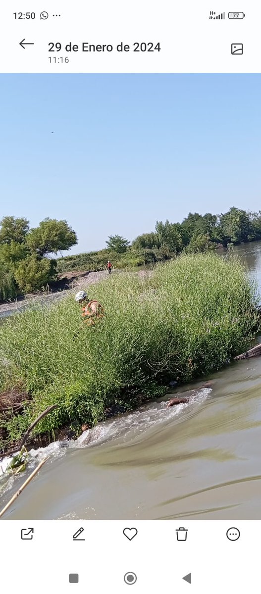 carab_ohiggins's tweet photo. Durante la mañana y hasta esta hora, @Carab_Ohiggins de la unidad especializada GOPE Rgua., se encuentra realizando labores de búsqueda de una persona adulta que  habría sido arrastrada por la corriente del Estero Chimbarongo, sector San Rafael, de Palmilla. 
#OrdenyPatria https://t.co/AuaUrWIPzf