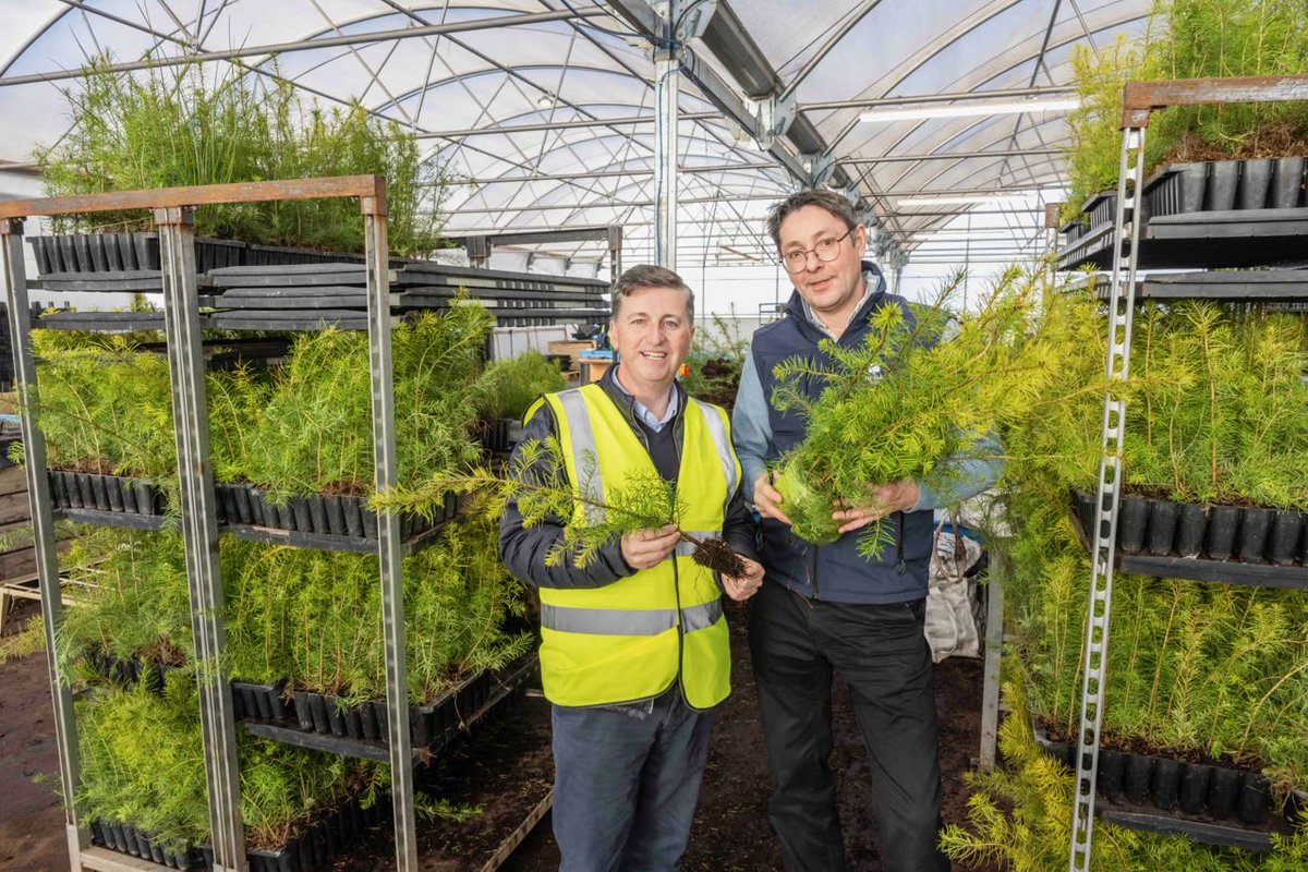 Douglas Alexander (@d_g_alexander) on Twitter photo Great to meet the team at Alba Trees.
Now, even after the good polls at the weekend, as <a href="/ScottishLabour/">Scottish Labour</a> we’re warriors against complacency…but it *might* be that this successful East Lothian business told me the Douglas fir (see below) is “proving very popular”! 😂😂😂 Great to meet the team at Alba Trees.
Now, even after the good polls at the weekend, as <a href="/ScottishLabour/">Scottish Labour</a> we’re warriors against complacency…but it *might* be that this successful East Lothian business told me the Douglas fir (see below) is “proving very popular”! 😂😂😂