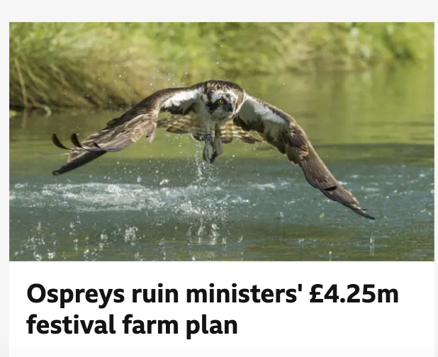 Zack Gardner tweet media