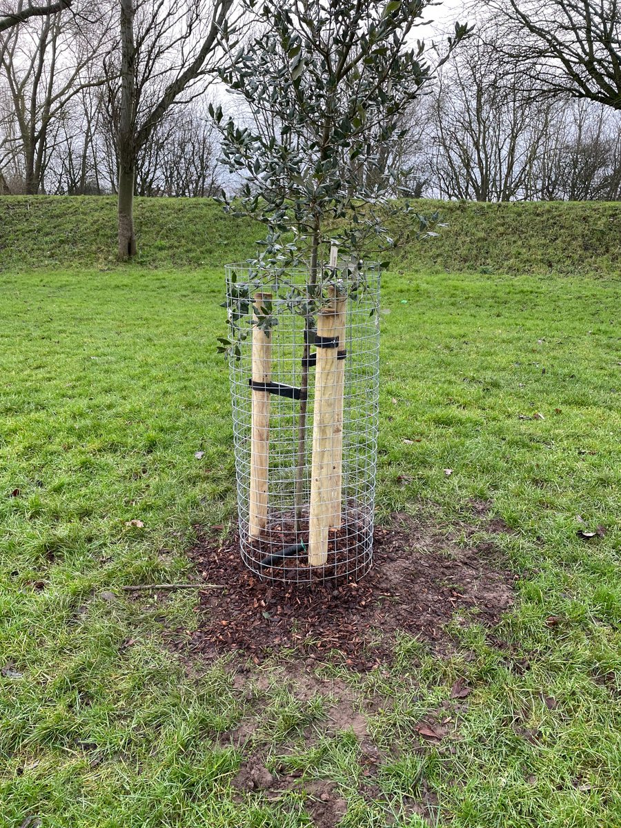 empscommunityp1's tweet photo. Notts UPW Team planting trees at Colwick Recreation ground🌲⛏️ #treeplanting https://t.co/1Rd9nBsRYp