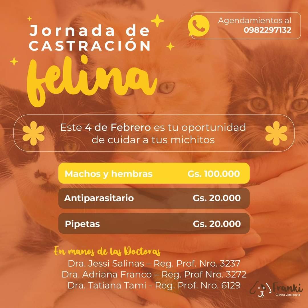 koalandeMichi's tweet photo. El domingo ya saben RT 👇🏻🙏🏻 https://t.co/Crqhmdygo0