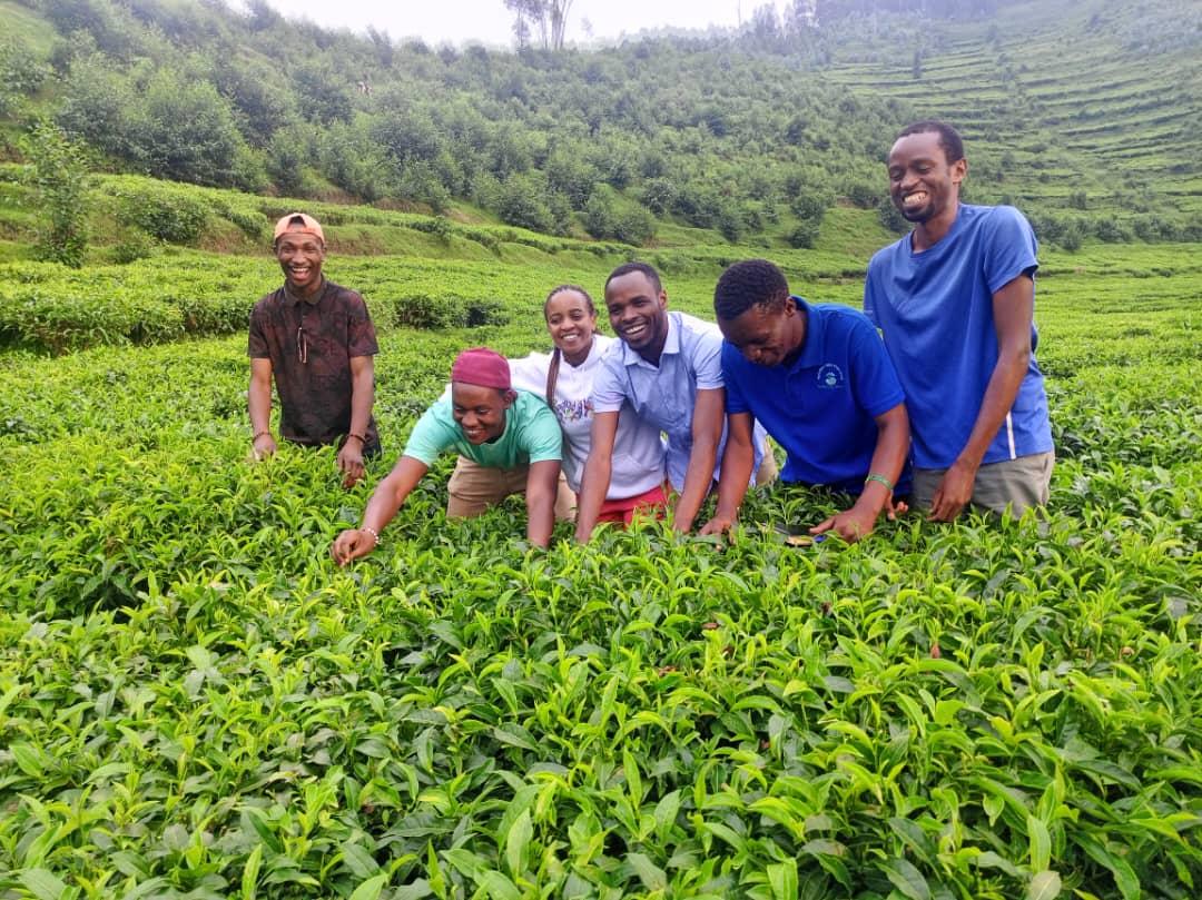 Friends discussion about tea plantation. Through the discussion, the friends gain a firsthand experience of the tea production process, deepening understanding of cultivation, harvesting, and processing. #VisitRwanda #YouthInAgriculture #AgricultureIsLife