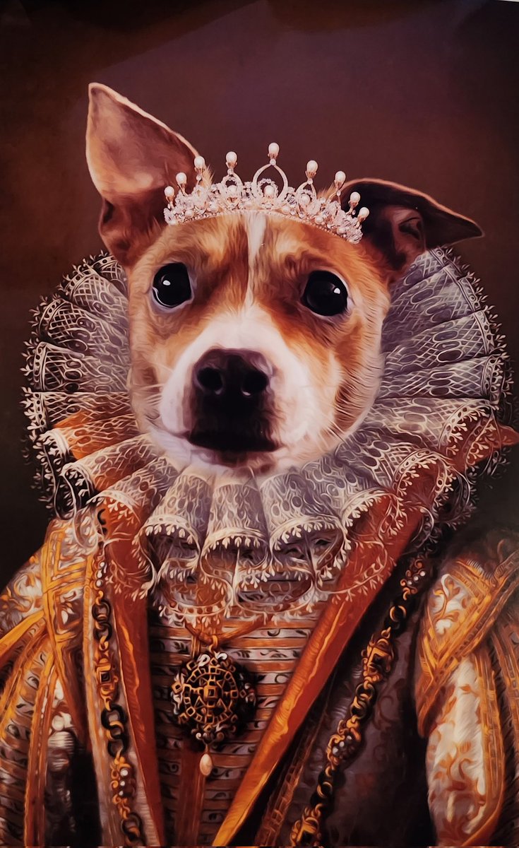 mariabishop81's tweet photo. @JaneyGodley This was my Xmas gift from my kids. Our dog Jingles as queen Elizabeth 1st https://t.co/du7iThyXXa