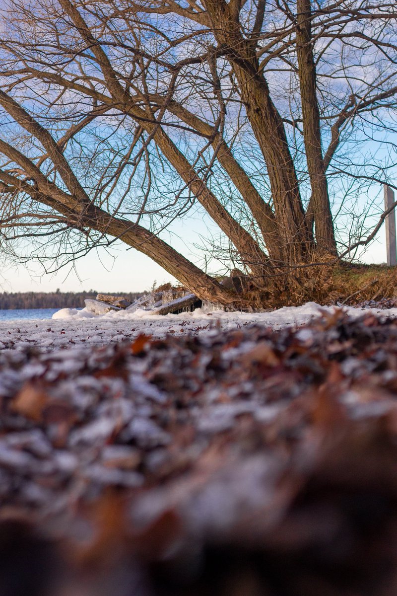 IntrepidOutdoor's tweet photo. @MrWhoCapture @earthcurated @ithefelizer @NatGeoPhotos @Lightroom Winters Edge https://t.co/CvLl4CerOO