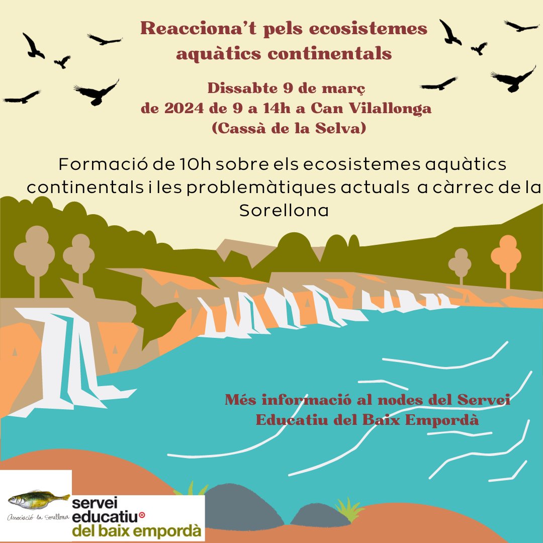 📢Formació de 10h 'Reacciona't pels ecosistemes aquàtics continentals' el dissabte 9 de març a Can Vilallonga de Cassà de la Selva a càrrec de @La_Sorellona i adreçada a professorat de secundària. Inscripcions a tuit.cat/w9Xw6 @seixarxes 👇👇