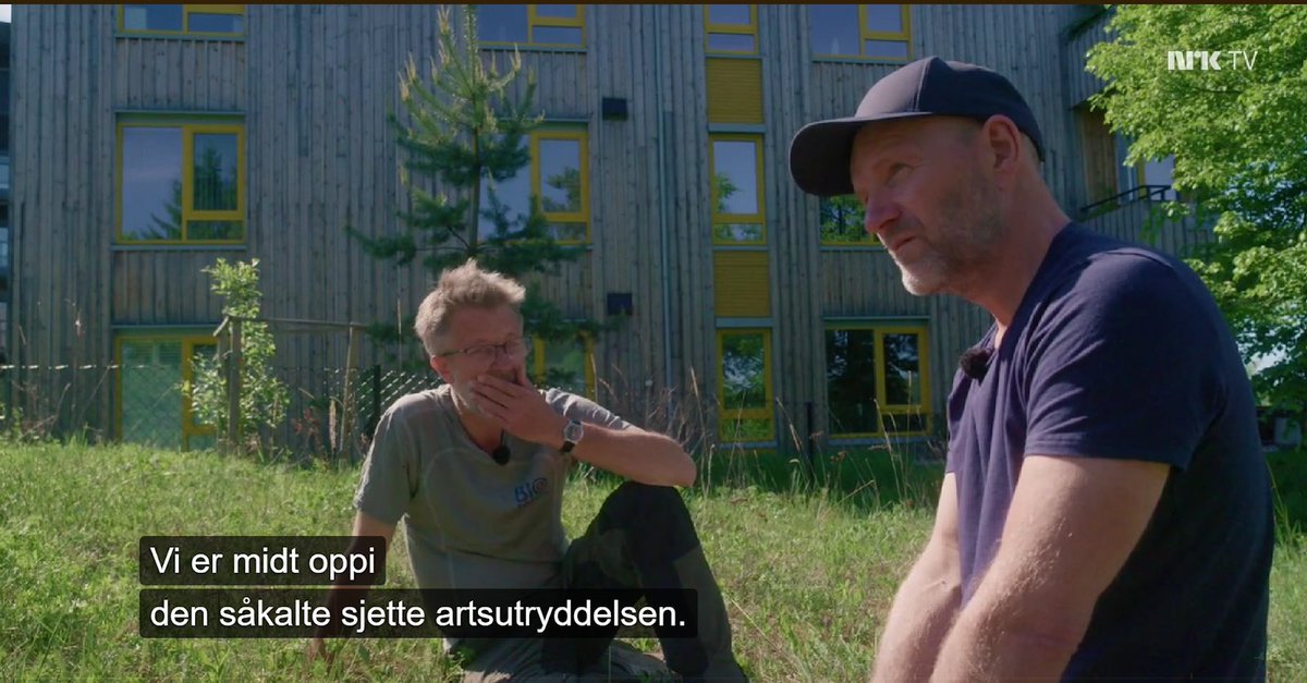 BioFokus's tweet photo. I kveldens episode av  #Oppsynsmannen møter Bård Tufte Johansen insektekspertene Stefan Olberg og Ole Lønnve i Biofokus. 

Bli med dem for å lete etter #dragehodeglansbille som bare lever i Norge!

På NRK1 kl.20:00 eller se fjerde episode på NRK TV

#naturkrise #truet @NRKno https://t.co/Hk7ADEAXxP