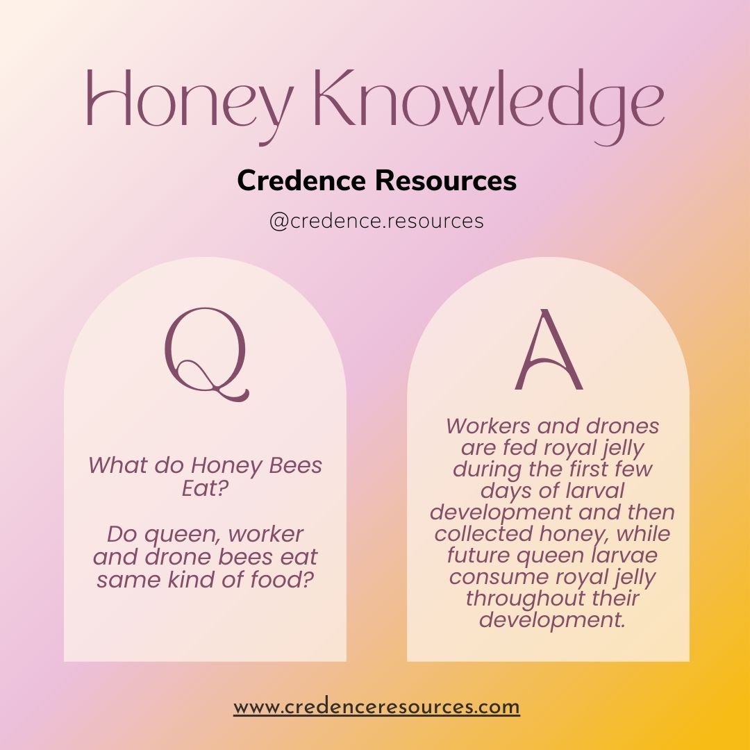 cresources's tweet image. 🍯🐝 Unlocking the Sweet Secrets of Honeybee Nutrition! Did you know that honeybee larvae are fed a special substance called 'royal jelly'? 🌱👶 This nutrient-rich superfood is secreted by worker bees and plays a vital role in the development of future queens. 🏰✨