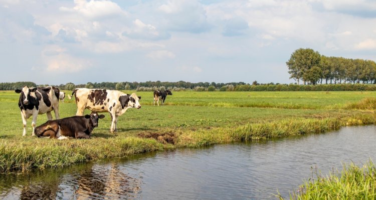Wageningen U&R tweet media