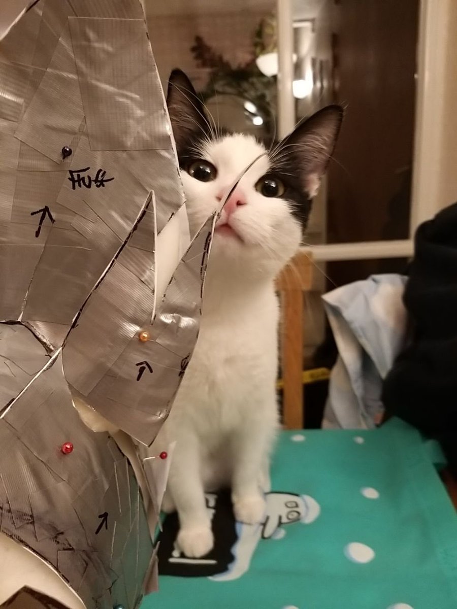 BlackSticky Official tweet media