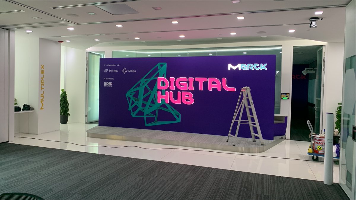 Syntropy tweet media