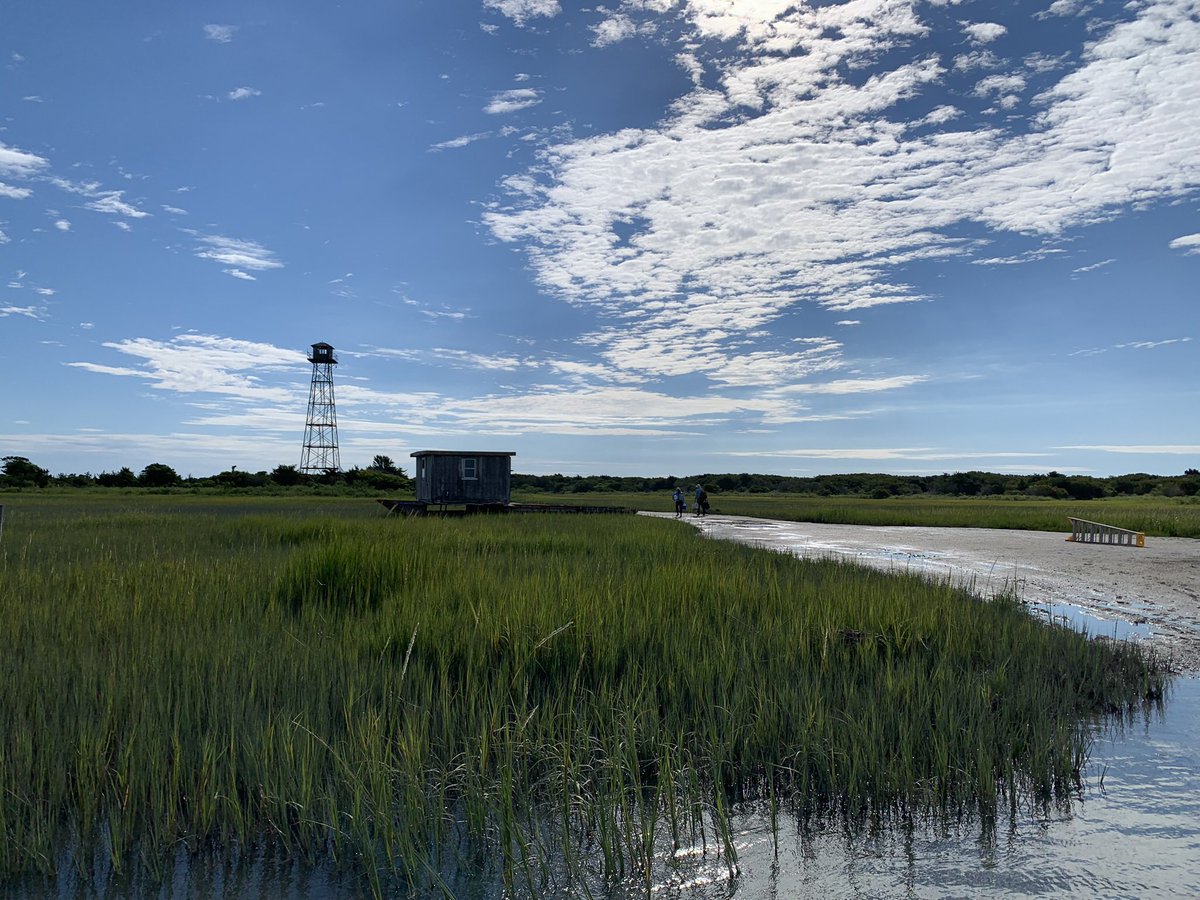 Virginia Coast Reserve LTER tweet media