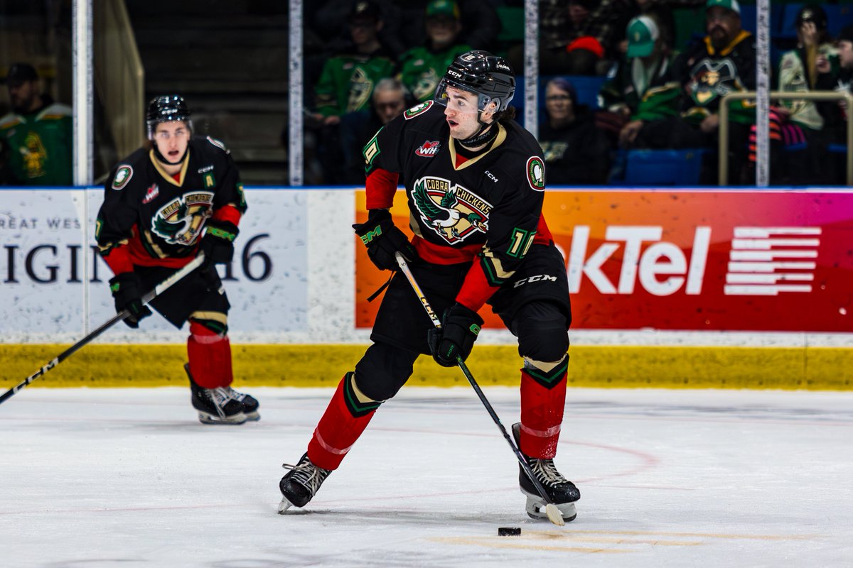 x - Prince Albert Raiders tweet media