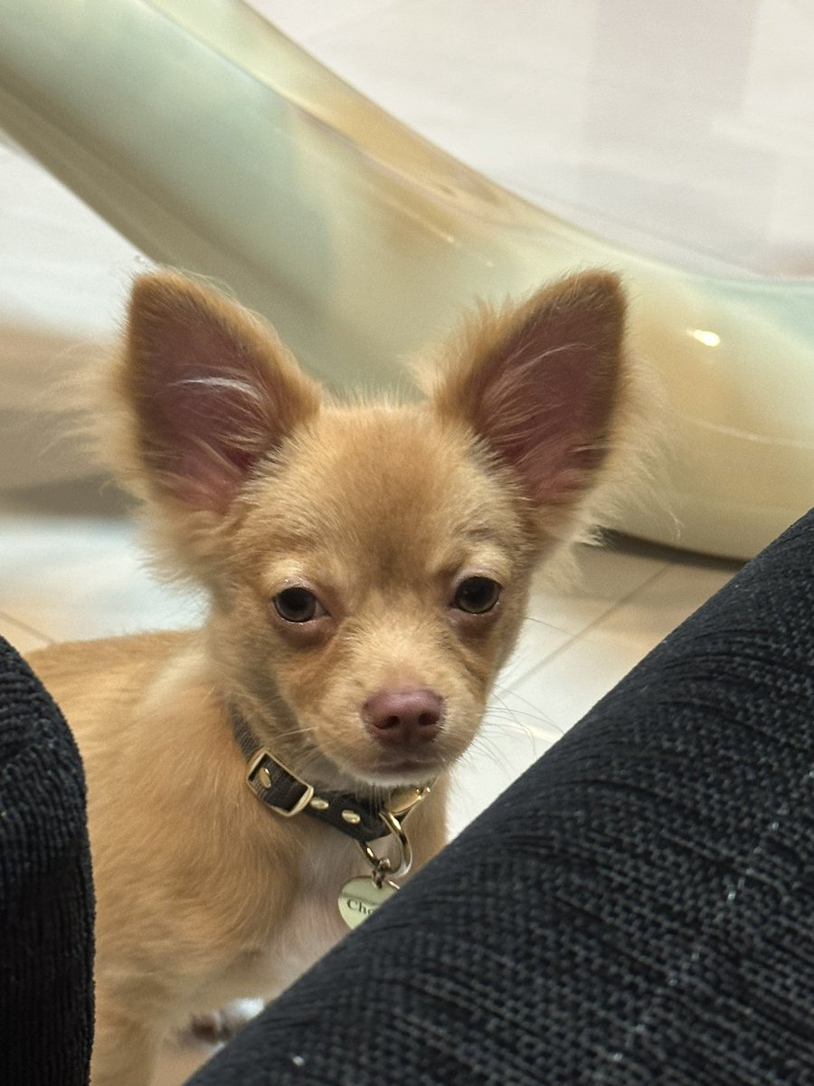 วิลเลี่ยม จักกะปรั๊ดดดดด tweet media