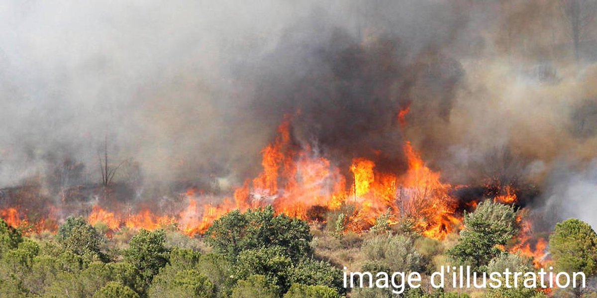 🔴 En direct 

🔥 Un feu de végétation est en cours sur la commune de #sers [#hautespyrenees 65]

🚒 40 sapeurs-pompiers sont mobilisés. 
🚁 1 HBE

- Évitez le secteur. 
- Facilitez l’accès aux services de secours. 

#incendies #feuxdeforêt #GIFF #PSFDF #sdis65