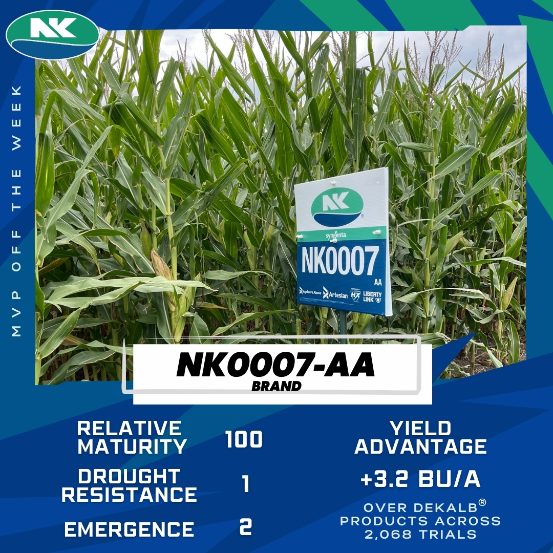 NK Seeds tweet media