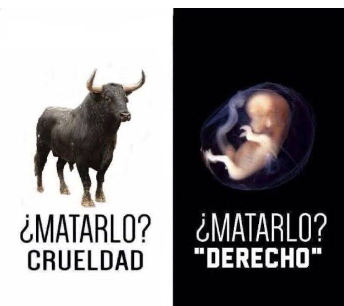 Santiago Roman Delgado tweet media