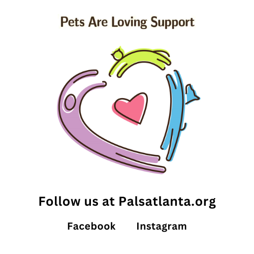 Follow us in 2024!