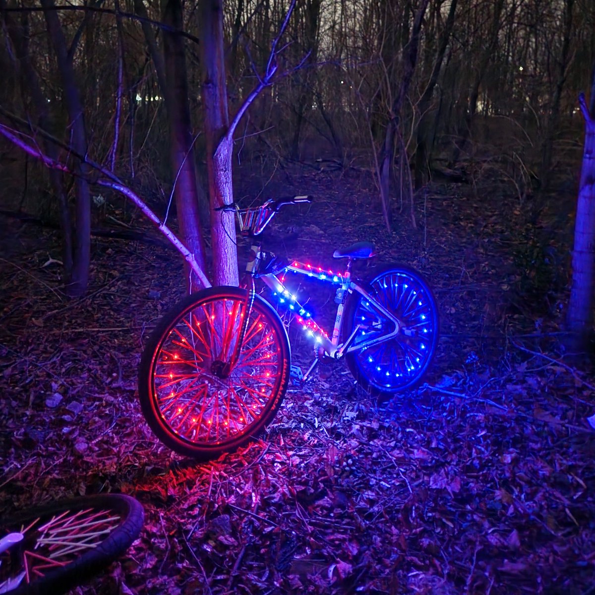 Anderson's bike is lit up and ready to hit the trails! 

Tag us using #brightzlights or @brightzltd for your chance to be featured! 

#bikelights #wheelbrightz #nightride #bikelights