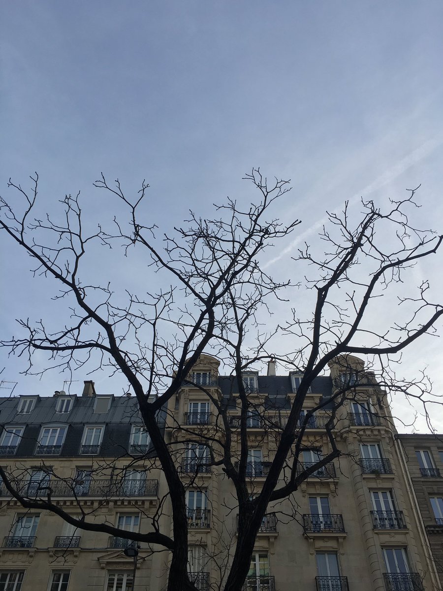 Arbres
de janvier –
ancrage
du présent, dans
l’odeur du froid :
jour comme
un passé,
promesse
de mars.

Derniers rayons
ocres sur
les fenêtres
des bibliothèques –
en silence, chemin de
se ressembler.

Le lendemain,
j’emporte tes jours,
l’odeur du vécu –
comme un coucher
d’hiver.