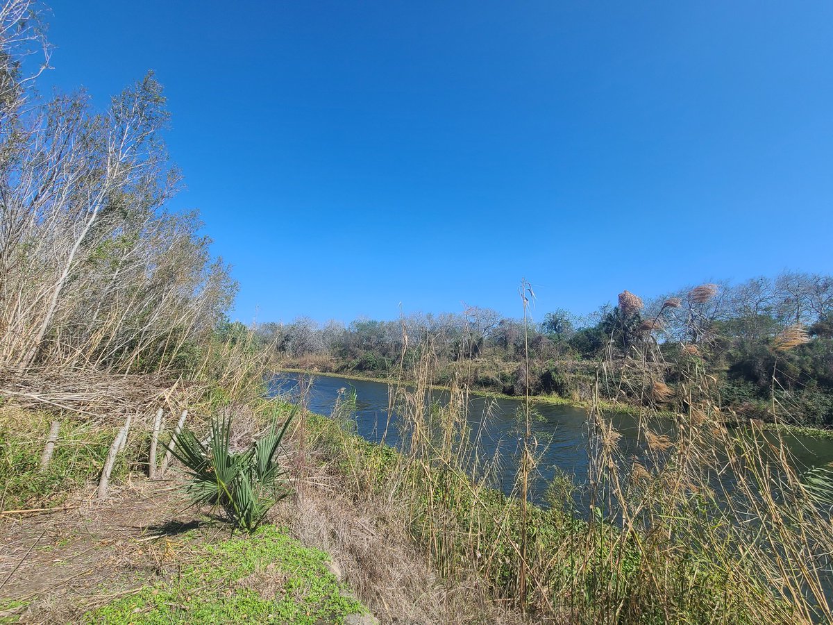 VocesUnidasRGV's tweet photo. We are happy to report that no border invasion is occurring on the open banks of the Rio Grande River in Cameron County. @GregAbbott_TX is lying about the border and is wasting billions of taxpayers' monies to get media play for his failed Operation Lonestar policies. https://t.co/ZhOmvV67Nd