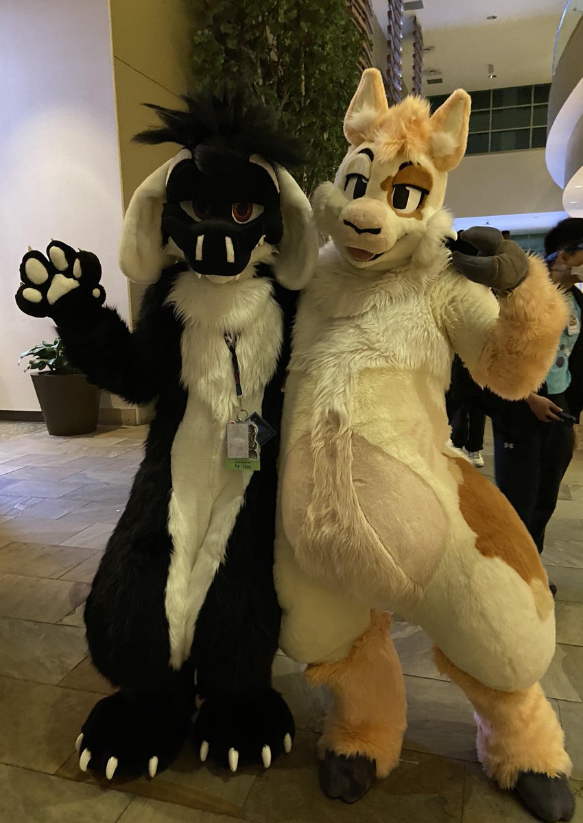 It was supper awesome getting A photo with Olli Alpaca. 
It was nice seeing you at ANE2024
Photo taken by <a href="/Cyber_Kittyx/">SagetheRedFox</a> 
#furry #fursuit #ANE2024