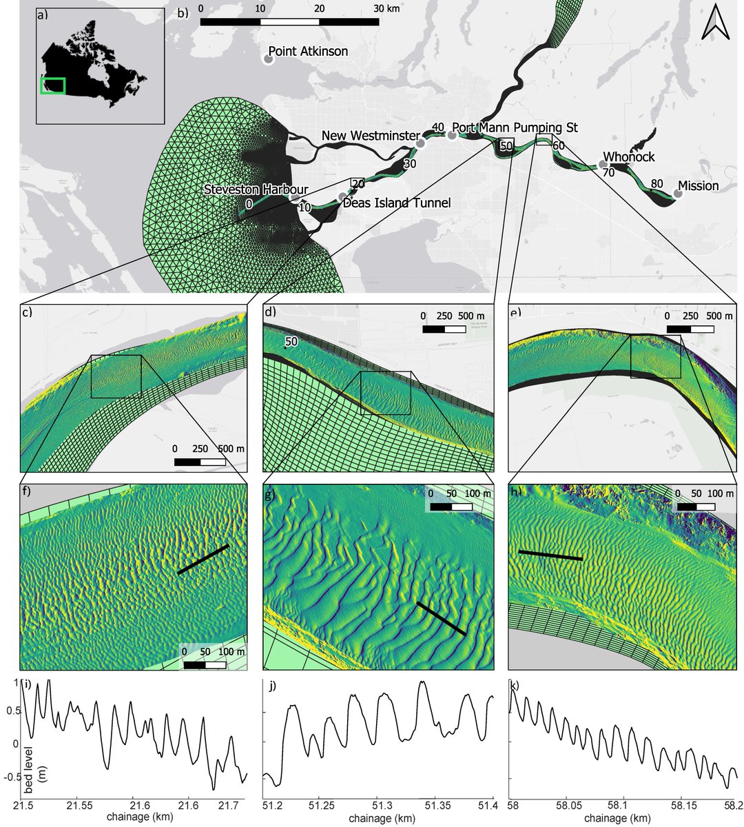 Sjoukje de Lange tweet media