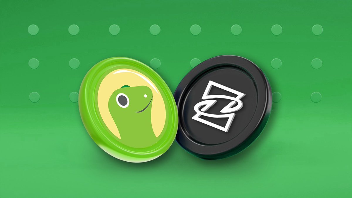 ZKZONE tweet media
