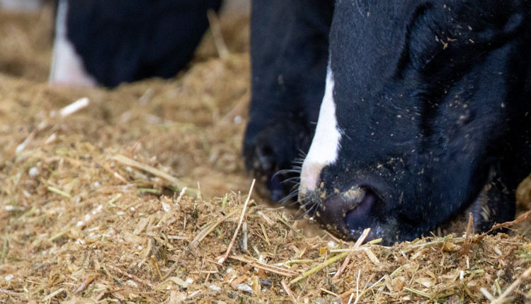 Hoard's Dairyman tweet media